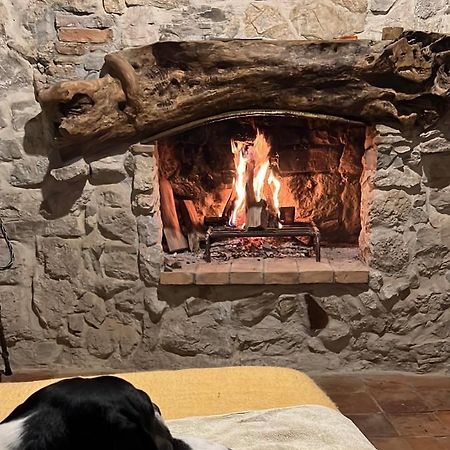 Apartament La Casa Del Teatro Campiglia dʼOrcia Zewnętrze zdjęcie